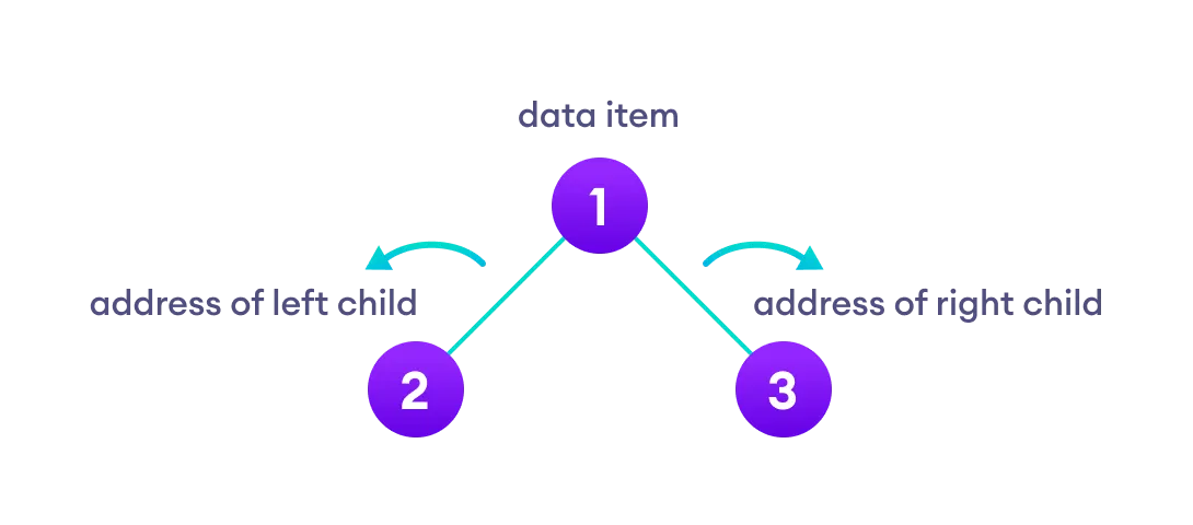 Binary Tree